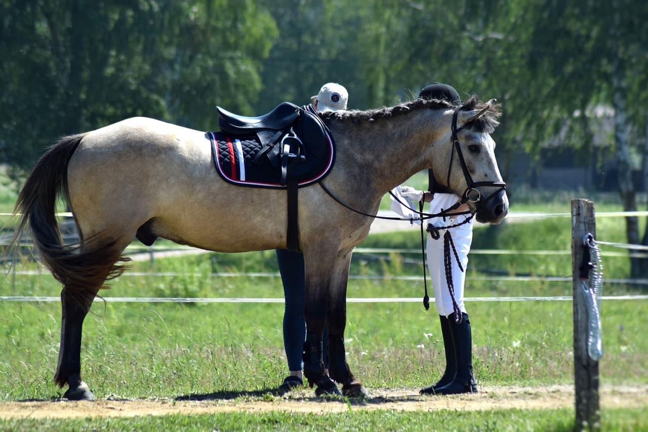 Horse riding